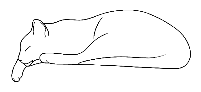 Maharishi