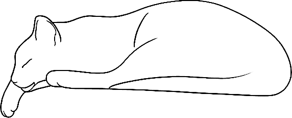 Maharishi